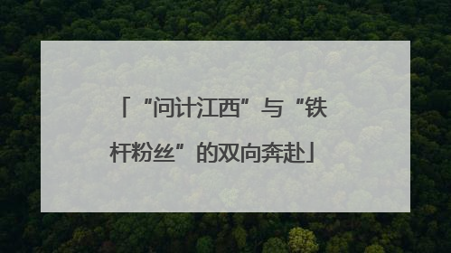 “问计江西”与“铁杆粉丝”的双向奔赴