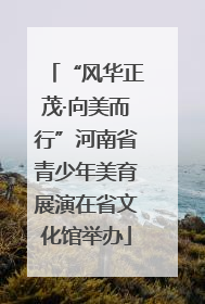 “风华正茂·向美而行”河南省青少年美育展演在省文化馆举办