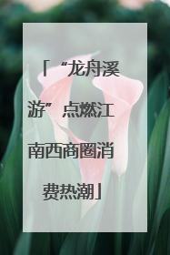 “龙舟溪游”点燃江南西商圈消费热潮