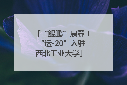 “鲲鹏”展翼！“运-20”入驻西北工业大学