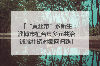 “黄丝带”系新生：淄博市桓台县多元共治铺就社矫对象回归路