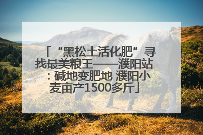“黑松土活化肥”寻找最美粮王——濮阳站：碱地变肥地 濮阳小麦亩产1500多斤