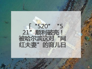 “520”“521”顺利破壳！被哈尔滨这对“网红夫妻”的育儿日记暖到了……