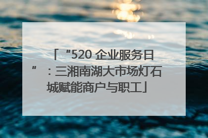 “520 企业服务日”：三湘南湖大市场灯石城赋能商户与职工