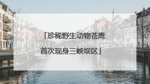 珍稀野生动物苍鹰首次现身三峡坝区