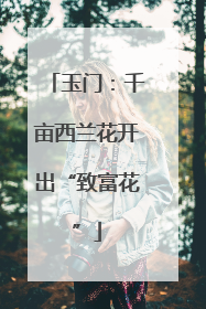 玉门：千亩西兰花开出“致富花”