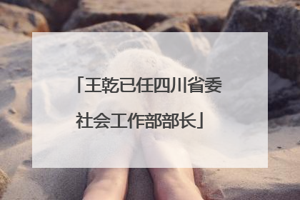 王乾已任四川省委社会工作部部长