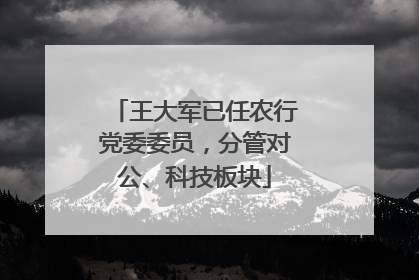 王大军已任农行党委委员，分管对公、科技板块