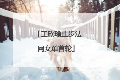 王欣瑜止步法网女单首轮