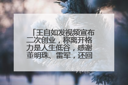王自如发视频宣布二次创业，称离开格力是人生低谷，感谢董明珠、雷军，还回应了“工资条”：清楚自己要什么……