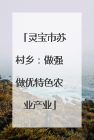 灵宝市苏村乡：做强做优特色农业产业