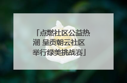 点燃社区公益热潮 呈贡朝云社区举行绿美挑战赛