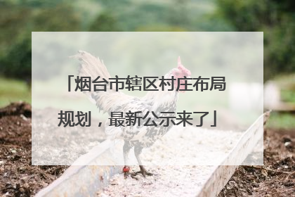 烟台市辖区村庄布局规划，最新公示来了