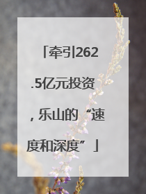 牵引262.5亿元投资，乐山的“速度和深度”