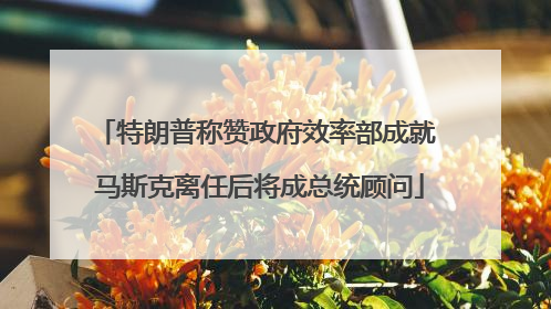 特朗普称赞政府效率部成就 马斯克离任后将成总统顾问