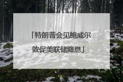 特朗普会见鲍威尔 敦促美联储降息