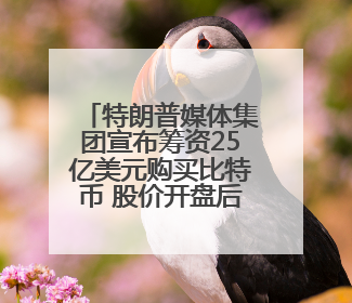 特朗普媒体集团宣布筹资25亿美元购买比特币 股价开盘后跳水