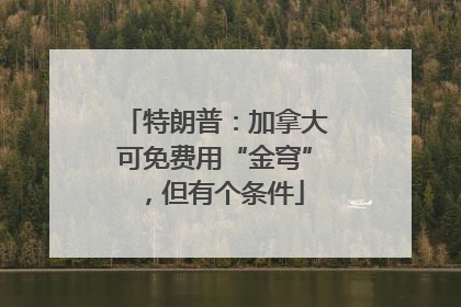 特朗普：加拿大可免费用“金穹”，但有个条件