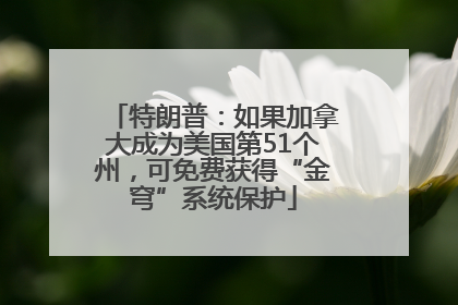 特朗普：如果加拿大成为美国第51个州，可免费获得“金穹”系统保护