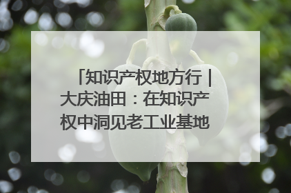 知识产权地方行｜大庆油田：在知识产权中洞见老工业基地的 “创新密码”