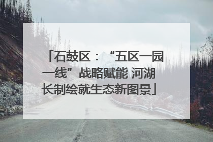 石鼓区：“五区一园一线”战略赋能 河湖长制绘就生态新图景
