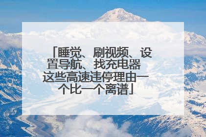 睡觉、刷视频、设置导航、找充电器 这些高速违停理由一个比一个离谱