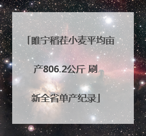 睢宁稻茬小麦平均亩产806.2公斤 刷新全省单产纪录