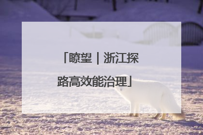 瞭望｜浙江探路高效能治理