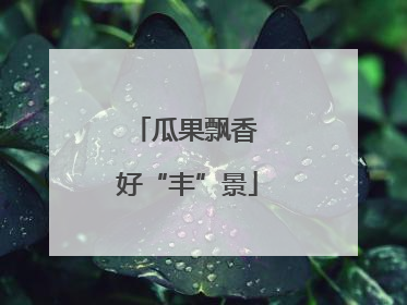 瓜果飘香 好“丰”景