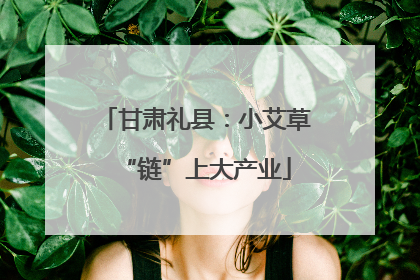 甘肃礼县：小艾草“链”上大产业