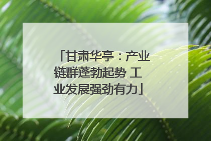 甘肃华亭：产业链群蓬勃起势 工业发展强劲有力