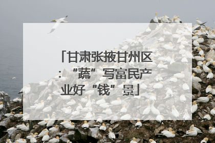 甘肃张掖甘州区：“蔬”写富民产业好“钱”景