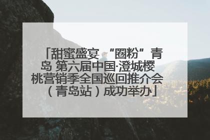 甜蜜盛宴 “圈粉”青岛 第六届中国·澄城樱桃营销季全国巡回推介会（青岛站）成功举办