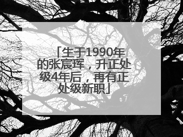 生于1990年的张宸珲，升正处级4年后，再有正处级新职