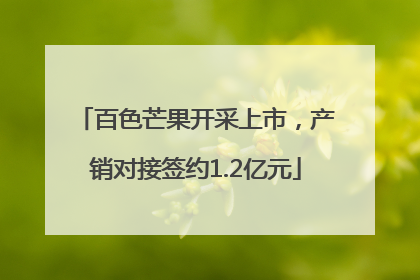 百色芒果开采上市，产销对接签约1.2亿元