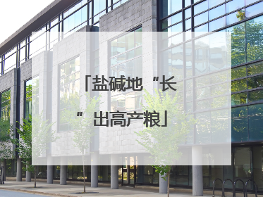 盐碱地“长”出高产粮