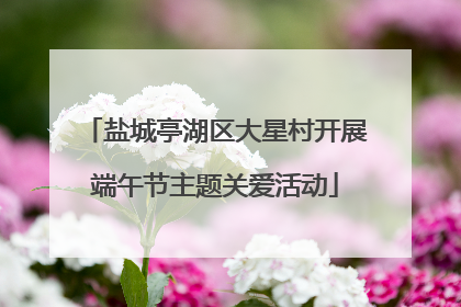 盐城亭湖区大星村开展端午节主题关爱活动