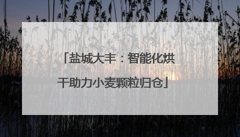 盐城大丰：智能化烘干助力小麦颗粒归仓