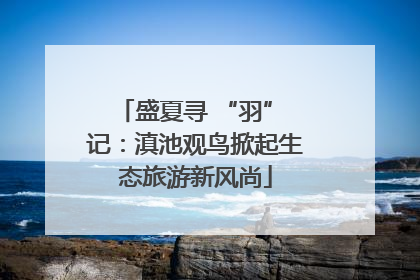 盛夏寻 “羽” 记：滇池观鸟掀起生态旅游新风尚
