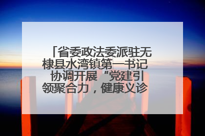 省委政法委派驻无棣县水湾镇第一书记 协调开展“党建引领聚合力，健康义诊惠乡亲”义诊活动