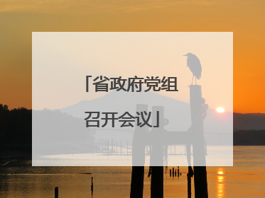 省政府党组召开会议
