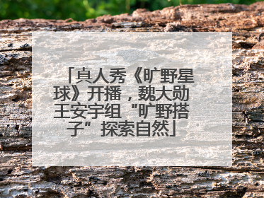 真人秀《旷野星球》开播，魏大勋王安宇组“旷野搭子”探索自然