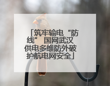 筑牢输电“防线” 国网武汉供电多维防外破护航电网安全