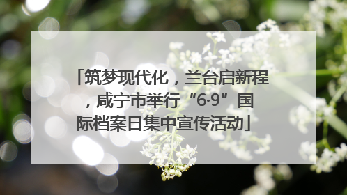 筑梦现代化，兰台启新程，咸宁市举行“6·9”国际档案日集中宣传活动