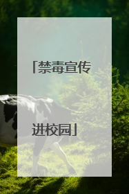 禁毒宣传进校园