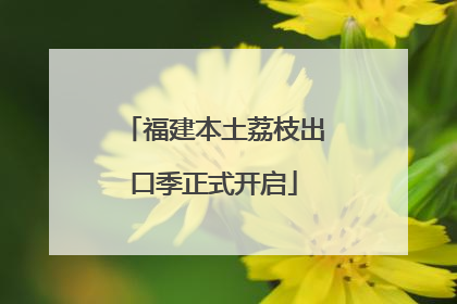 福建本土荔枝出口季正式开启