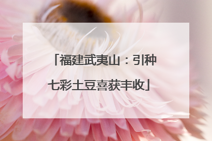 福建武夷山：引种七彩土豆喜获丰收