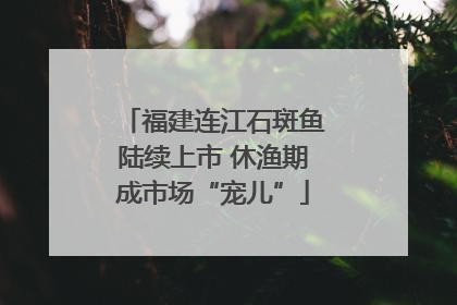 福建连江石斑鱼陆续上市 休渔期成市场“宠儿”