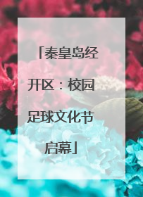 秦皇岛经开区：校园足球文化节启幕