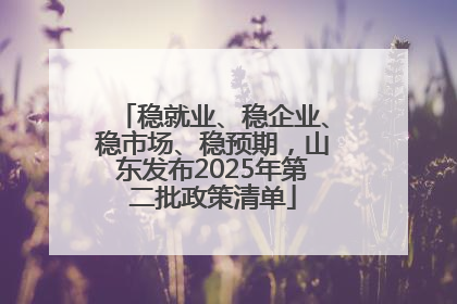 稳就业、稳企业、稳市场、稳预期，山东发布2025年第二批政策清单